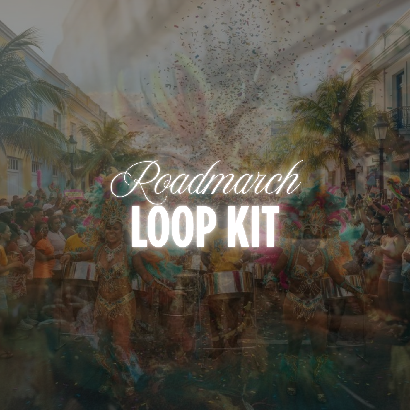 Roadmarch Loop Kit